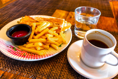 Baguette or sandwich toast bread with chicken tomato salad and potato fries in Playa del Carmen...