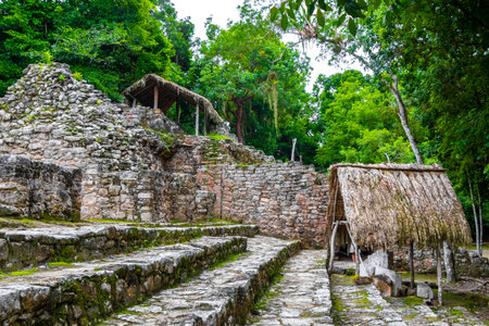 Coba Maya Ruins the ancient buildings and pyramids in the tropical forest jungle in Coba Municipality Tulum Quintana Roo Mexico.の写真素材