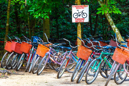 Coba Quintana Roo Mexico October 1st, 2023 Rent a bike bicycle tricycle sign arrow information board direction in Coba Municipality Tulum Quintana Roo Mexico.のeditorial素材