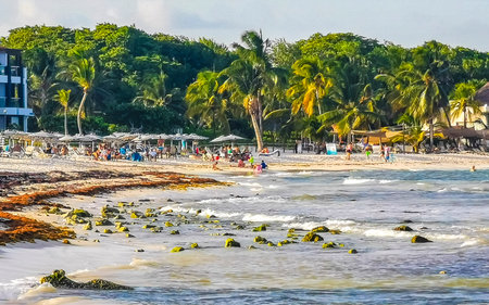 Playa del Carmen Quintana Roo Mexico July 20, 2023 Tropical Mexican Caribbean beach and sea with a lot of fun people sun loungers parasols turquoise water in Playa del Carmen Mexico.のeditorial素材