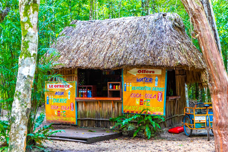 Coba Quintana Roo Mexico October 01, 2023 Parking lot stores shops restaurants ticket hut and entrance to Coba ruins in Coba Municipality Tulum Quintana Roo Mexico.のeditorial素材