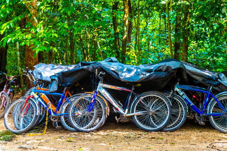 Coba Quintana Roo Mexico October 1, 2023 Rent a bike bicycle tricycle and ride through the jungle...