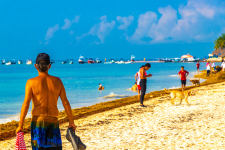 Playa del Carmen Quintana Roo Mexico August 5, 2023 Tropical Mexican Caribbean beach and sea with a lot of fun people sun loungers parasols turquoise water in Playa del Carmen Mexico.のeditorial素材