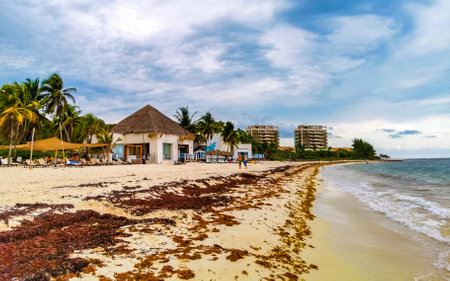 Playa del Carmen Quintana Roo Mexico May 20, 2023 Tropical Mexican Caribbean beach and sea with a lot of fun people sun loungers parasols turquoise water in Playa del Carmen Mexico.のeditorial素材