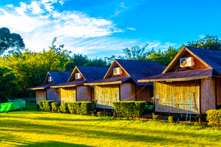 Wooden bamboo cottages huts in natural tropical jungle resort during sunrise in the morning in Ao Nang Amphoe Mueang Krabi Thailand in Southeast Asia.の写真素材