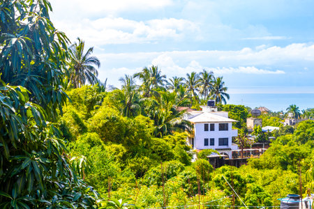 Beautiful tropical and natural city and seascape landscape panorama view with pacific ocean sea palms palm trees and beach with waves of Zicatela Puerto Escondido Oaxaca Mexico.の写真素材