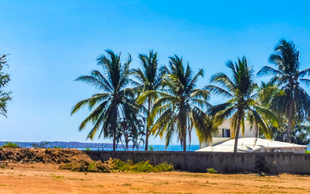Beautiful tropical and natural city and seascape landscape panorama view with pacific ocean sea palms palm trees and beach with waves of Zicatela Puerto Escondido Oaxaca Mexico.の写真素材
