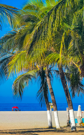 Puerto Escondido Oaxaca Mexico March 24, 2023 Beautiful tropical and natural city and seascape landscape panorama view with pacific ocean sea palms palm trees and beach with waves of Zicatela.のeditorial素材