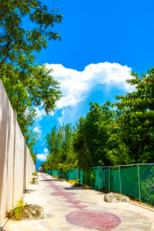 Playa del Carmen Quintana Roo Mexico March 22, 2021 Tropical natural way walking path to the beach in the nature jungle between plants and palm trees in Playa del Carmen Mexico.の写真素材