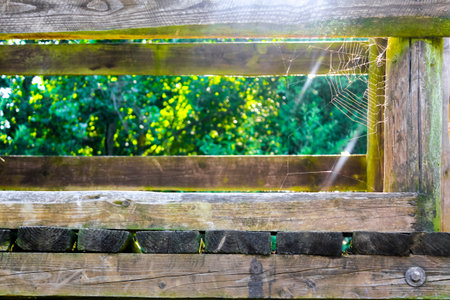 Spider web and sunshine on wooden scaffolding in Hemmoor Hechthausen Cuxhaven Lower Saxony Germany.の写真素材