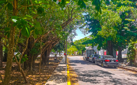 Typical street road and cityscape with cars traffic restaurants shops stores people and buildings of Playa del Carmen in Quintana Roo Mexico.のeditorial素材