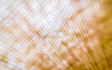 Plastic tablecloth underlay texture pattern in Playa del Carmen Quintana Roo Mexico.の写真素材