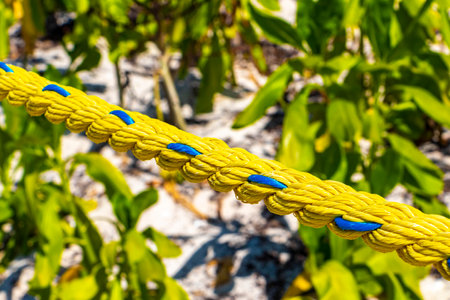 Yellow rope in green nature background in Playa del Carmen Quintana Roo Mexico.の写真素材