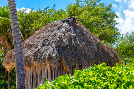 Mayan huts wooden cottage in tropical jungle with palm trees at Caribbean beach in Playa del Carmen Quintana Roo Mexico.の写真素材