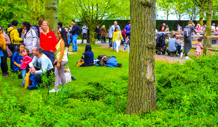Lisse South Holland Netherlands April 4, 2014 Beautiful flower and tulip park garden with people trees plants and tulips in Keukenhof Lisse South Holland Netherlands Holland in Europe.のeditorial素材