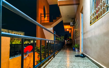 Terrace and balcony with palm trees green natural tropical plants in Playa del Carmen Mexico.のeditorial素材