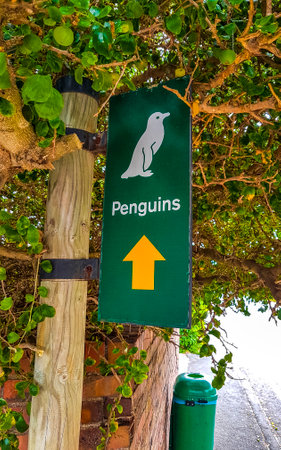 Cape town Western Cape South Africa Southafrica January 22, 2018 Signage and information about the penguins at Boulders Beach in Simons Town Cape Town Capetown Western Cape South Africa Southafrica.のeditorial素材