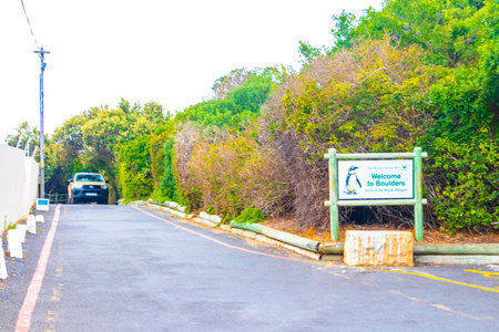 Cape town Western Cape South Africa Southafrica January 22, 2018 Signage and information about the penguins at Boulders Beach in Simons Town Cape Town Capetown Western Cape South Africa Southafrica.のeditorial素材