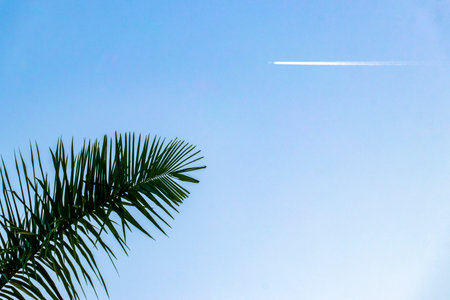 Toxic chemical trail in the clean blue sky released from the airplane in Playa del Carmen Quintana...
