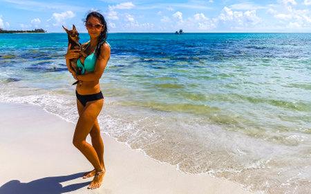 Sexy lady girl pretty woman poses with her little dog on the tropical Mexican Caribbean beach in Playa del Carmen Quintana Roo Mexico.のeditorial素材