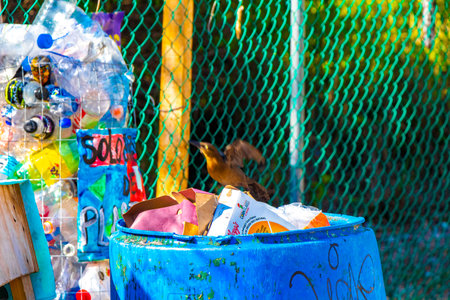 Playa del Carmen Quintana Roo Mexico August 5, 2023 Plastic bottle collection garbage can bin for recycling in Playa del Carmen Quintana Roo Mexico.のeditorial素材