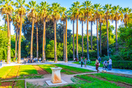 Athens Attica Greece October 7, 2018 Extremely tall beautiful palm trees and blue sky in Athens Attica Greece.のeditorial素材