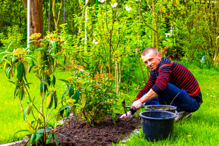 Young man working in the garden beds in Leherheide Bremerhaven Bremen Germany.