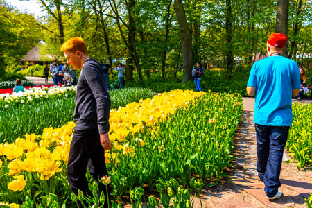Lisse South Holland Netherlands April 4, 2014 Beautiful flower and tulip park garden with people trees plants and tulips in Keukenhof Lisse South Holland Netherlands Holland in Europe.のeditorial素材