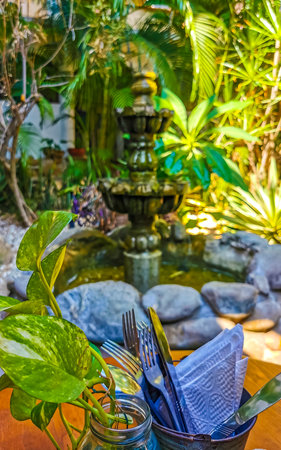 Nostalgic green fountain in the garden with moss in Zicatela Puerto Escondido Oaxaca Mexico.の写真素材