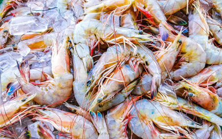 Shrimps on the market texture pattern in Zicatela Puerto Escondido Oaxaca Mexico.の写真素材