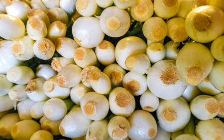 Spring onions Onion Vegetables on the market in Zicatela Puerto Escondido Oaxaca Mexico.の写真素材