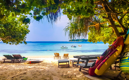 Natural tropical plants and palm trees mangrove at sandbank islands with color gradient in the water Madivaru Finolhu and Rasdhoo island in Rasdhoo Atoll Maldives.のeditorial素材
