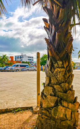 Typical town street road and cityscape with cars traffic restaurants shops stores people and buildings of Playa del Carmen in Quintana Roo Mexico.のeditorial素材