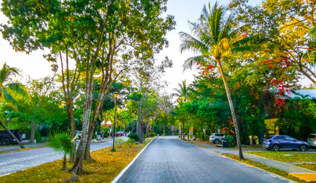 Typical street road and cityscape with cars traffic restaurants shops stores people and buildings of Playa del Carmen in Quintana Roo Mexico.の写真素材