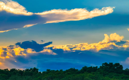 Colorful and golden sunset and sunrise in the tropical Caribbean behind palm trees jungle nature and...