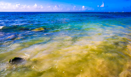 Stones rocks and corals in turquoise green and blue water on the tropical Caribbean beach in Playa del Carmen Quintana Roo Mexico.の写真素材