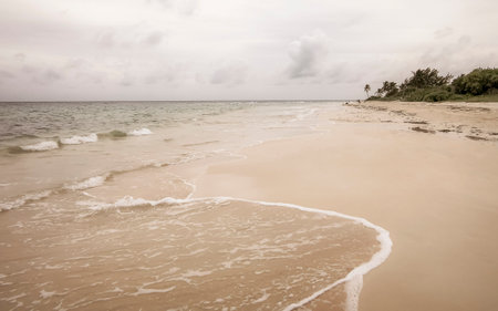Amazing tropical Mexican Caribbean beach and sea landscape panorama with clear turquoise blue water waves.の写真素材