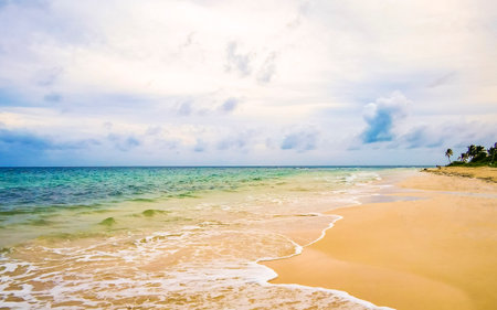 Amazing tropical Mexican Caribbean beach and sea landscape panorama with clear turquoise blue water waves in Playa del Carmen Mexico.の写真素材