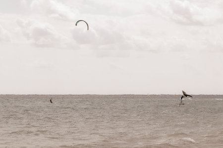 Water sport like kitesurfing kiteboarding wakeboarding on tropical Mexican beach.の写真素材