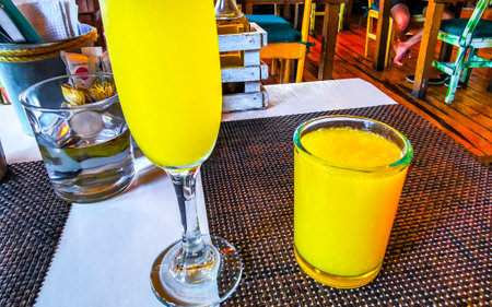 Glass of orange fruit juice food and drink in the restaurant PapaCharly Papa Charly in Playa del Carmen Quintana Roo Mexico.の写真素材