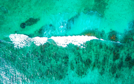 Coral reef Palancar seascape and Caribbean sea panorama with turquoise green and blue water and waves in Playa del Carmen Quintana Roo Mexico.の写真素材