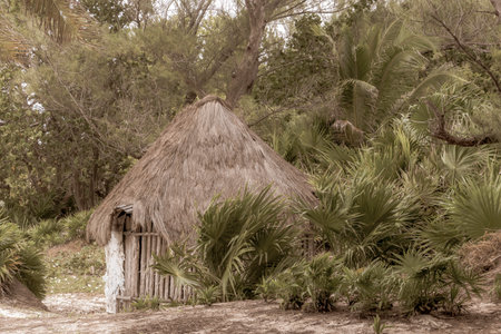 Mayan huts wooden cottage in tropical jungle with palm trees at Caribbean beach in Playa del Carmen Quintana Roo Mexico.の写真素材