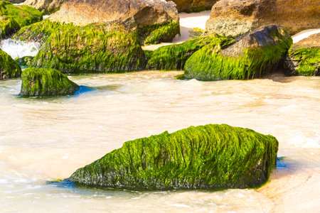 Stones rocks boulders in turquoise green and blue water on the Caribbean beach in Playacar Playa del Carmen Quintana Roo Mexico.の写真素材