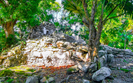 Xaman Ha Maya Ruins archeological site temples temple houses buildings made of limestone rock stones rocks in Playacar Playa del Carmen Quintana Roo Mexico.の写真素材