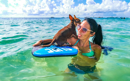 Young woman with her dog on a surfboard in the sea.
