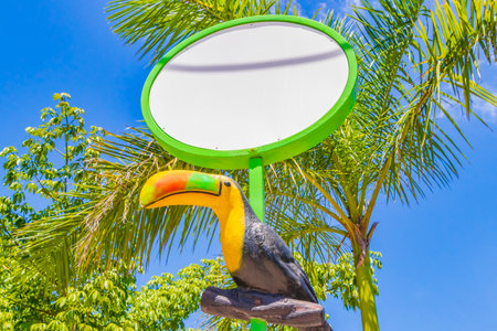 Street sign with sea creatures animals La Quinta Avenida in Playa del Carmen Quintana Roo Mexico.の写真素材