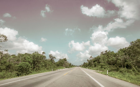 Driving on the highway road motorway freeway through the tropical jungle in Playa del Carmen Quintana Roo Mexico.の写真素材