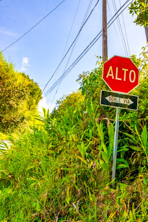 Street sign stop red in Central America.の写真素材