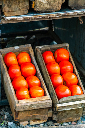 Tomatoes at small fruit and vegetable market outside on the street in Para Heredia Costa Rica in Central America.の写真素材