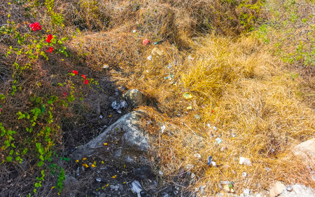 Litter outside in nature and on the street pollution in Zicatela Puerto Escondido Oaxaca Mexico.の写真素材